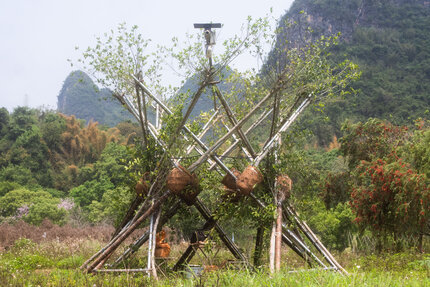Hyperboloid Banyan